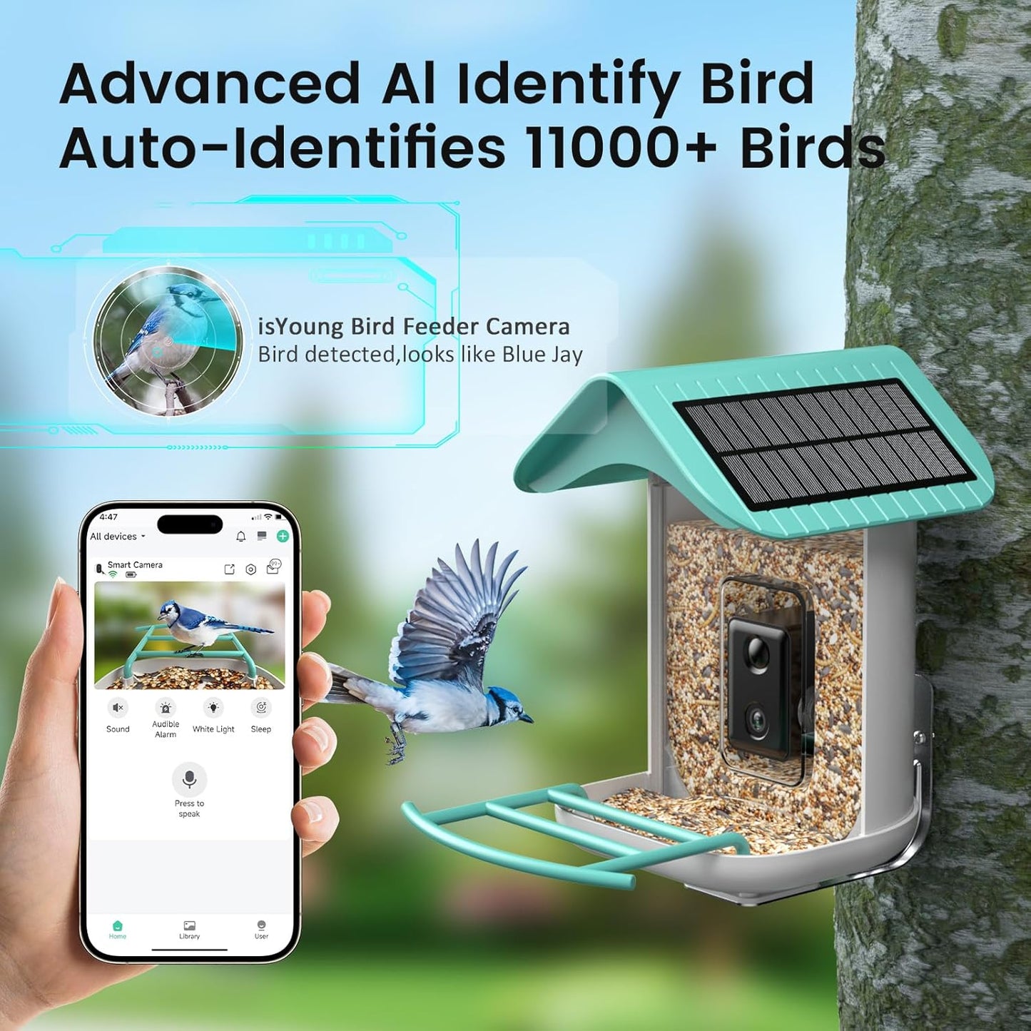Bird Feeder with Camera, Identify 11000+ Bird Species,Auto Capture Bird Videos & Motion Detection, Wireless Camera Ideal Present for Bird Lover.(Dual Panel)