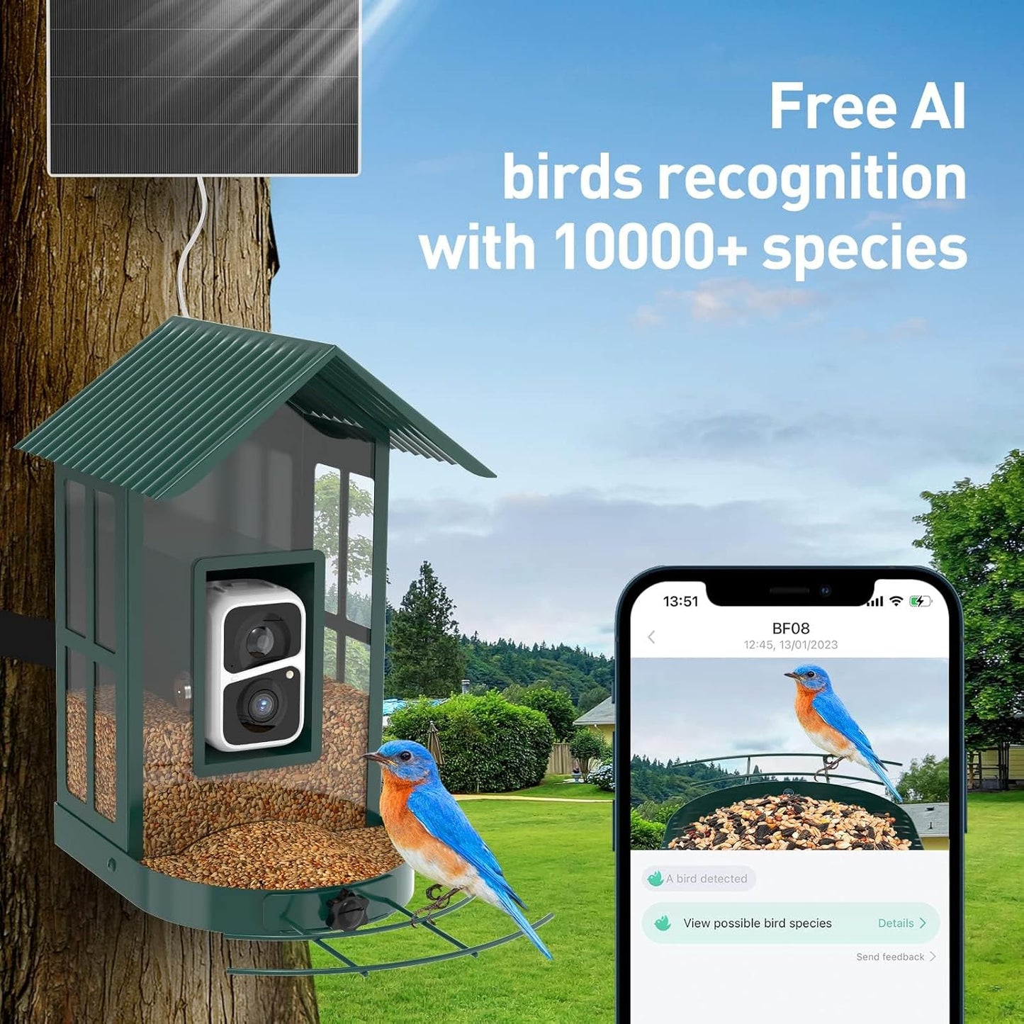 Soliom Bird Feeder with Camera Wireless Outdoor with AI Identify Bird Species, Smart Wild Bird Watching Cam, Live View, Motion Triggered Notification, 3W Solar, 1.6L Small Size-Metal Case BF08S-G