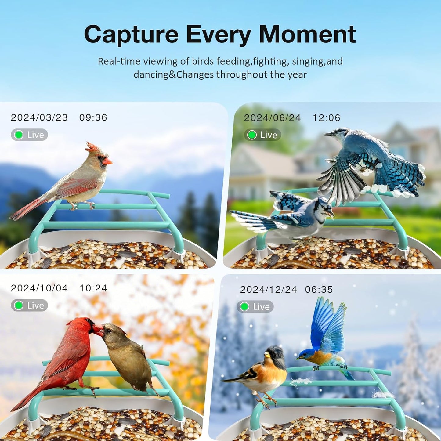 Bird Feeder with Camera, Identify 11000+ Bird Species,Auto Capture Bird Videos & Motion Detection, Wireless Camera Ideal Present for Bird Lover.(Dual Panel)