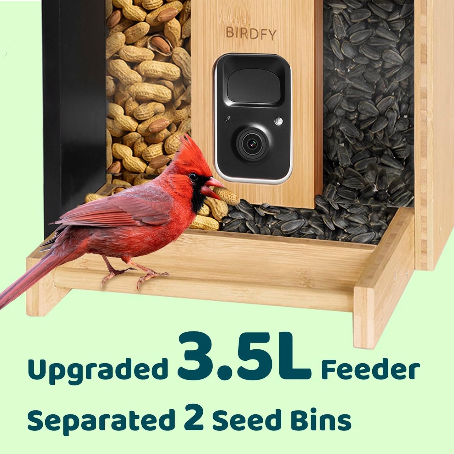NETVUE by Birdfy AI Smart Bird Feeder with Camera Solar Powered Permanent AI Identify 6000 Bird Species & Motion Detection Renewable Upgraded Bamboo Wood Bird Feeder Camera Ideal Gift