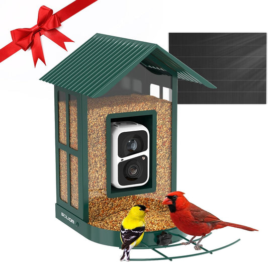 Soliom Bird Feeder with Camera Wireless Outdoor with AI Identify Bird Species, Smart Wild Bird Watching Cam, Live View, Motion Triggered Notification, 3W Solar, 1.6L Small Size-Metal Case BF08S-G