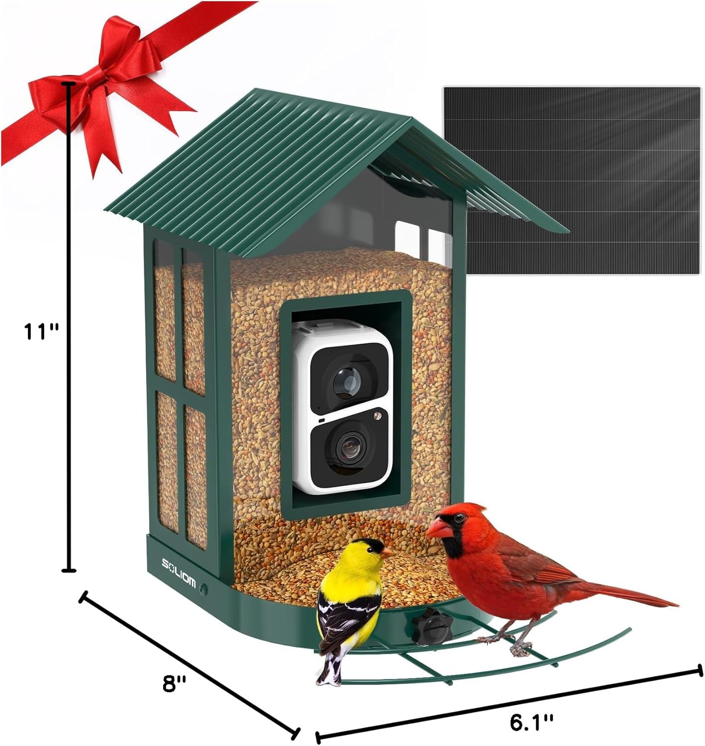Soliom Bird Feeder with Camera Wireless Outdoor with AI Identify Bird Species, Smart Wild Bird Watching Cam, Live View, Motion Triggered Notification, 3W Solar, 1.6L Small Size-Metal Case BF08S-G